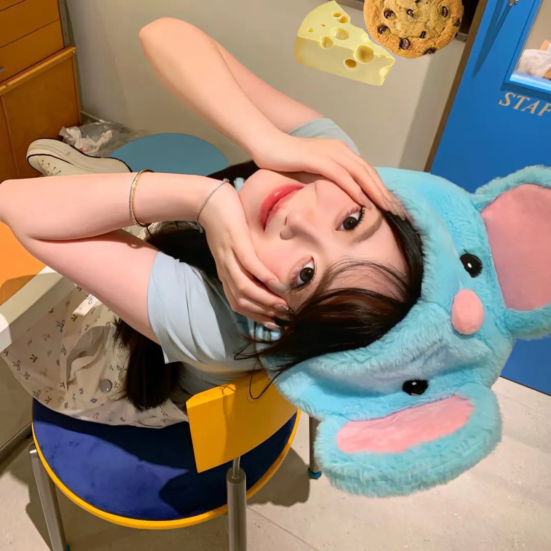 陈辰全明星
