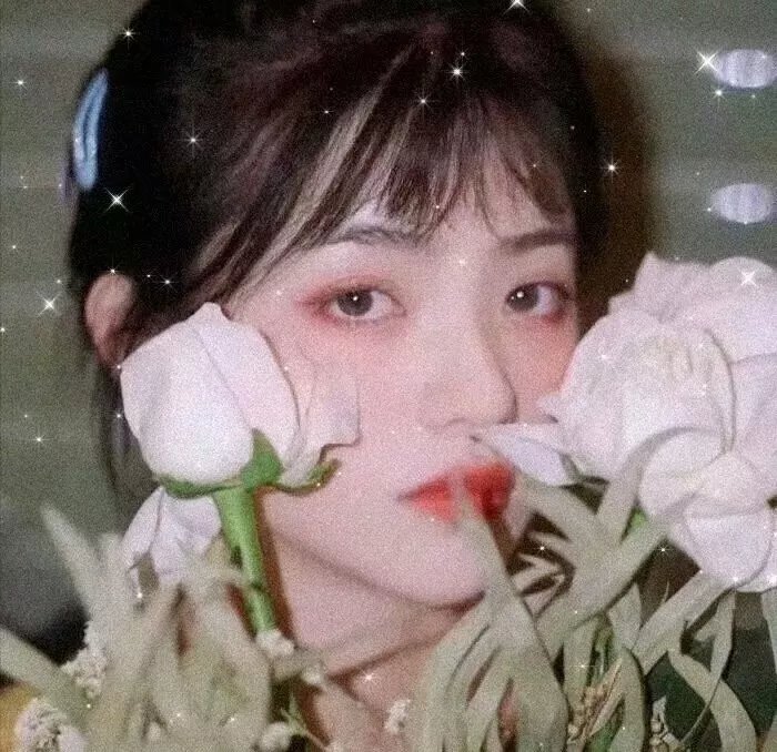 玉楼春晓